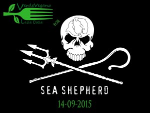 verde-vegano-sea-shepherd
